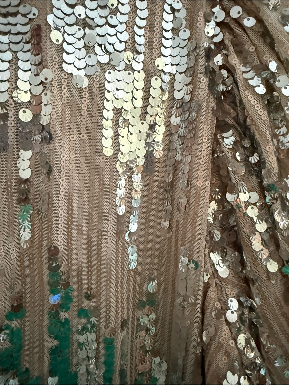 THML Season To Sparkle Champagne Sequin Puff-Sleeve Top - Picture 5 of 5